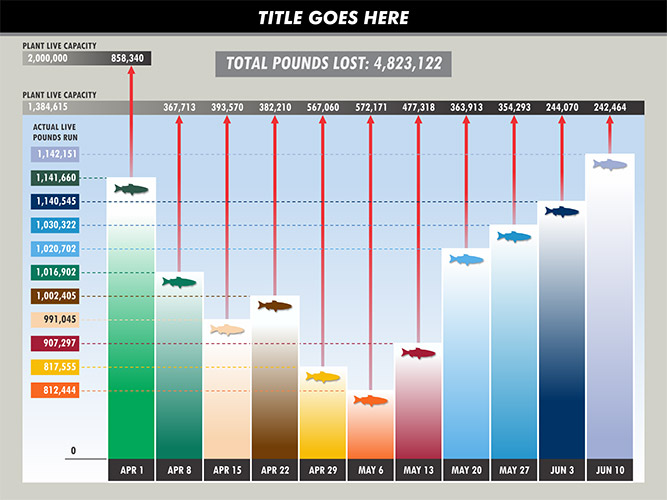 Timelines / Charts / Graphs-The Presentation Group-Litigation support