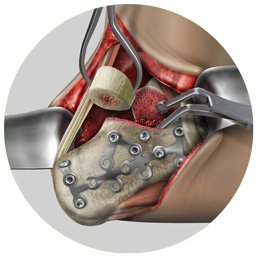 Library Medical Illustrations